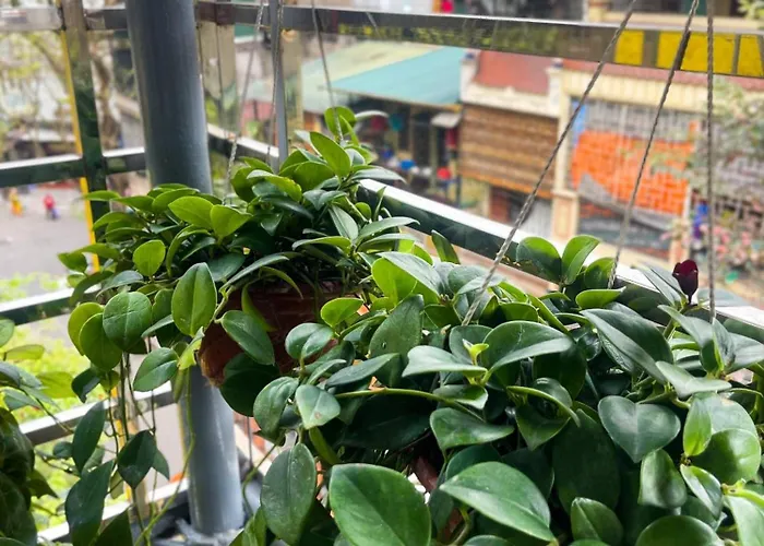 Appartamento Sunny Garden Balcony In Old Quarter, Free Laundry, Free Water Hanoi
