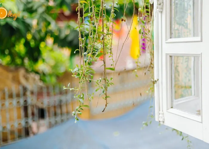 Olenji Homestay Hanoi