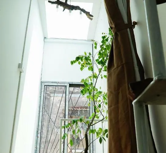 20X19 Apartment Hanoi
